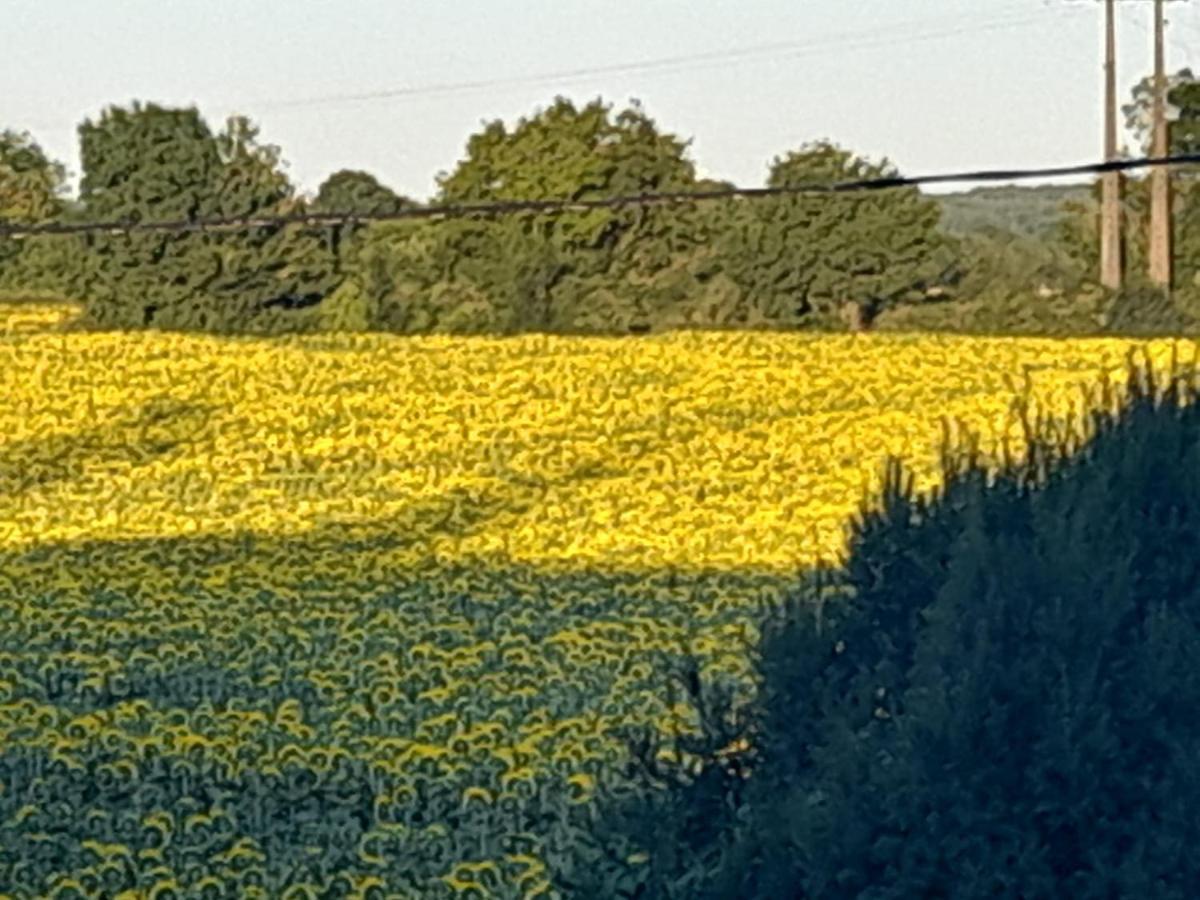 Chateau Ardilleux מראה חיצוני תמונה